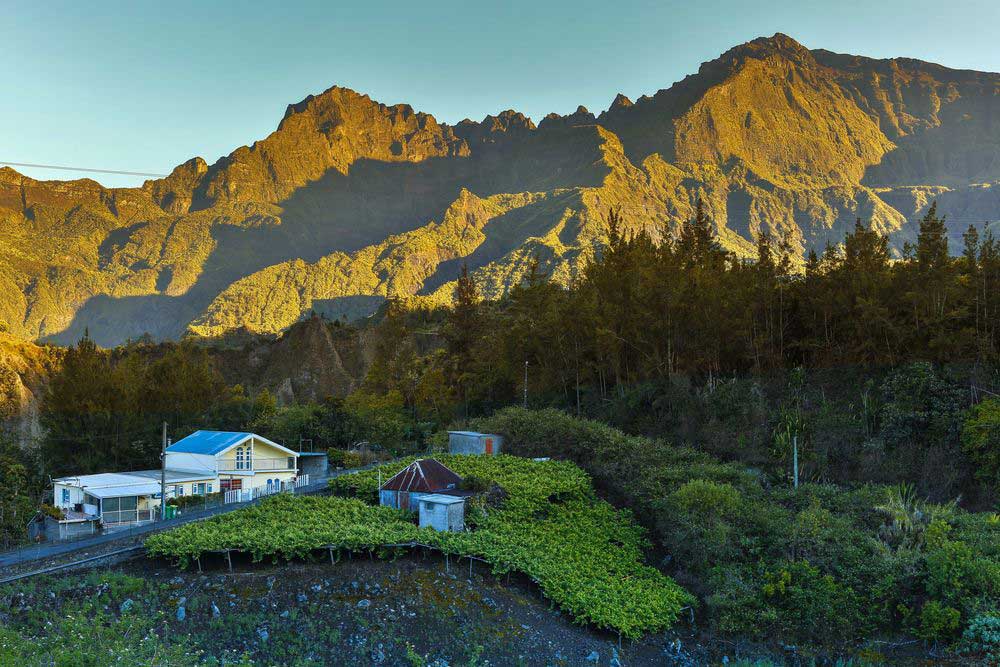 GR® R1 Île de La Réunion - Cirque Cilaos, exploitation de la vigne, vin de Cilaos au lever du soleil - Crédit : Arnaud SPANI / hemis.fr