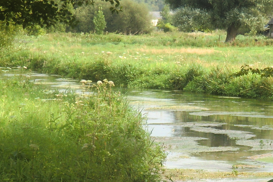 GR®211, entre Seine et Côte d'Albâtre - De Caudebec-en-Caux (commune de Rives-en-Seine) à Veulettes-sur-Mer
