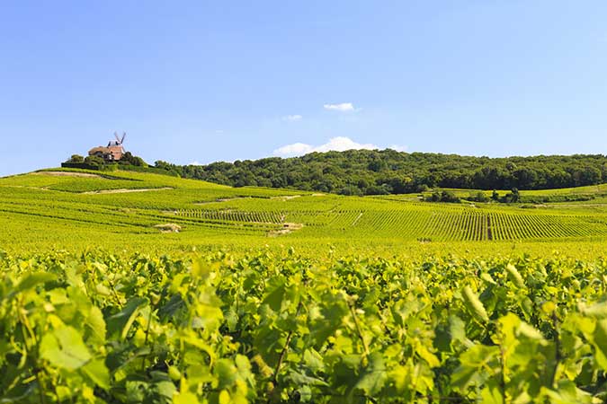 Tour de l'Audomarois et randonnées en Caps et Marais d'Opale