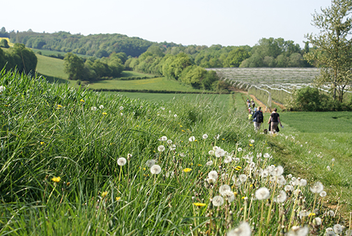 GR 31 - De Bourges à Sancerre