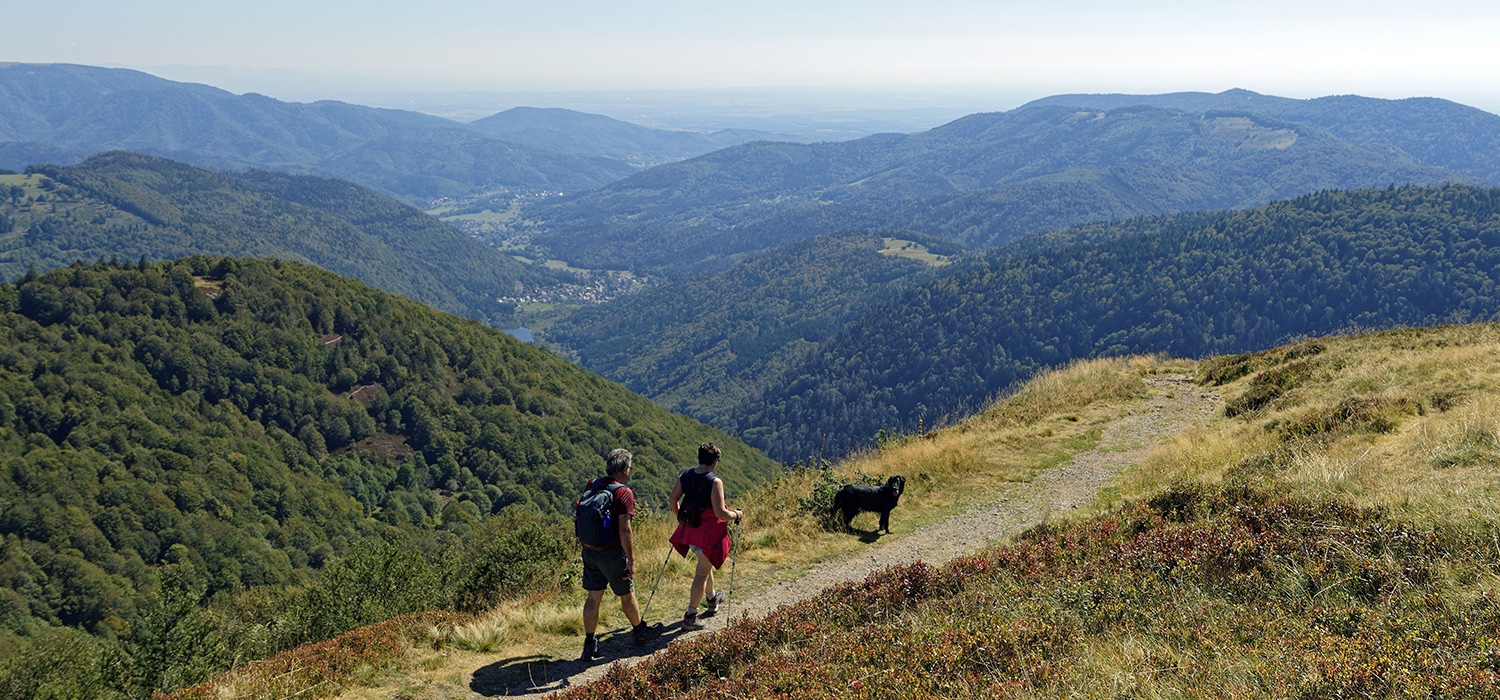 GR® 5, de Thann à Belfort