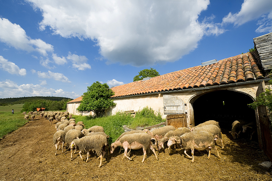 GR® 71D, boucle au départ de Millau