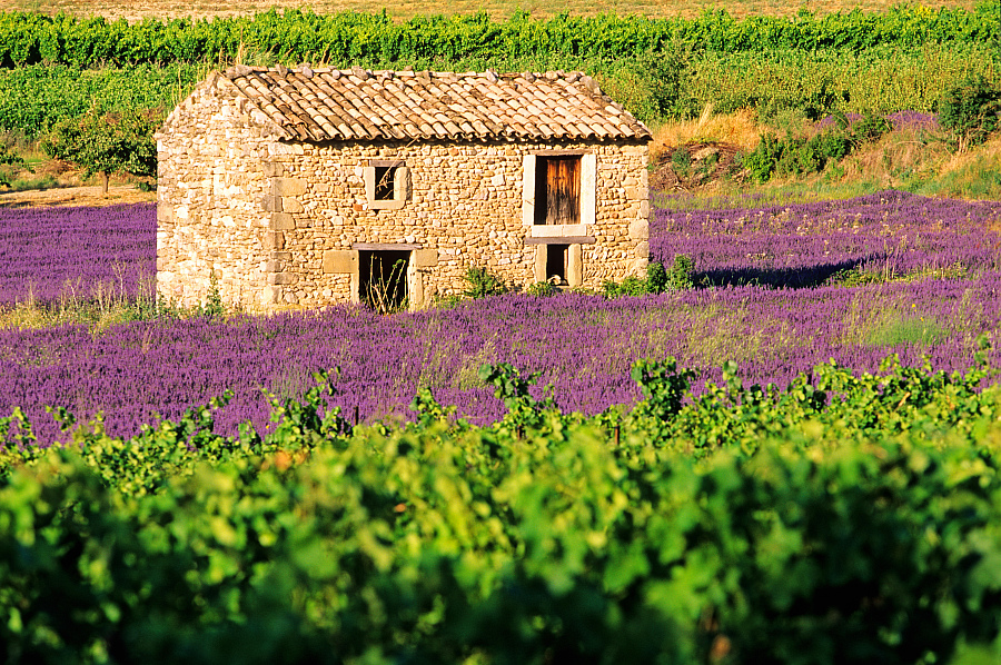 GR® 9 de Dieulefit à Buis-les-Baronnies