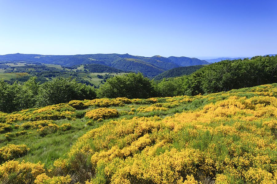 GR® de Pays Haute Cévenne d'Ardèche et Tour de la Montagne Ardéchoise