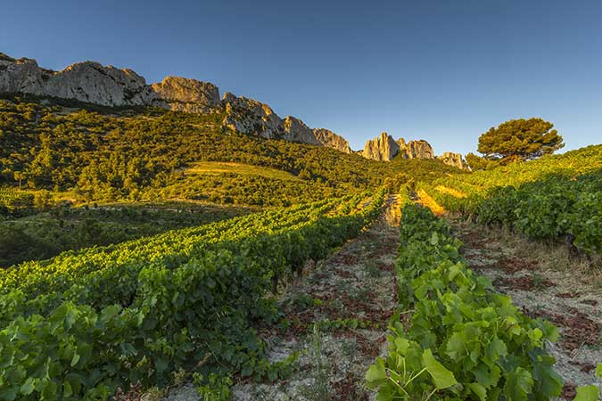 GR® de Pays Tour des Dentelles de Montmirail et Tour du Massif de Rasteau, boucle à partir de Vaison-la-Romaine