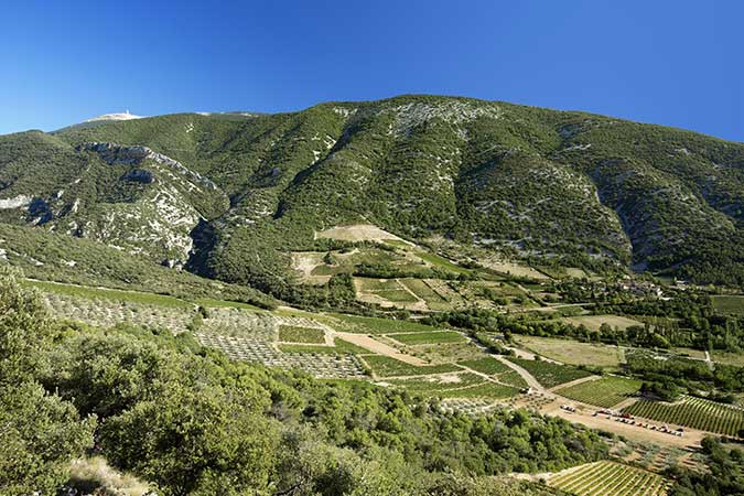 GR® de Pays Tour du Massif du Ventoux, de Sault à Malaucène