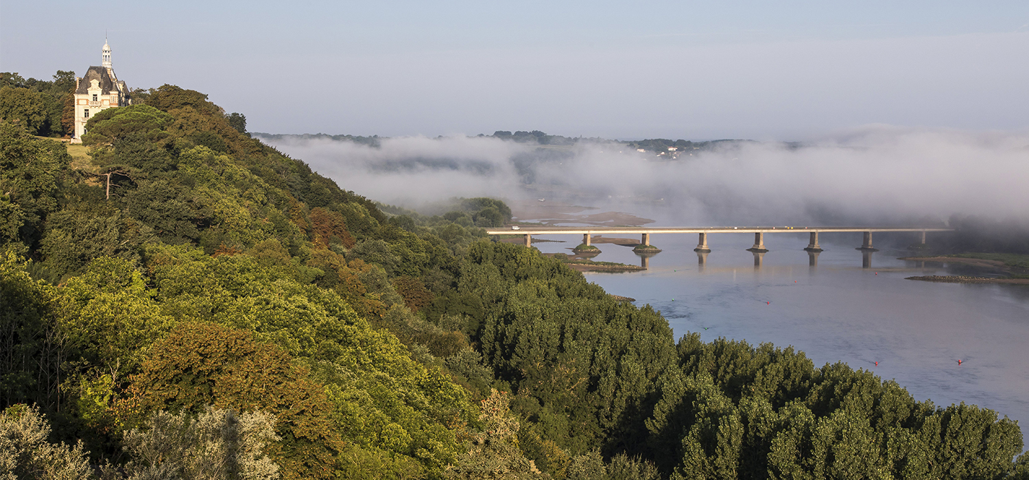 GR® 3, de Saint-Rémy-la-Varenne à Champtoceaux