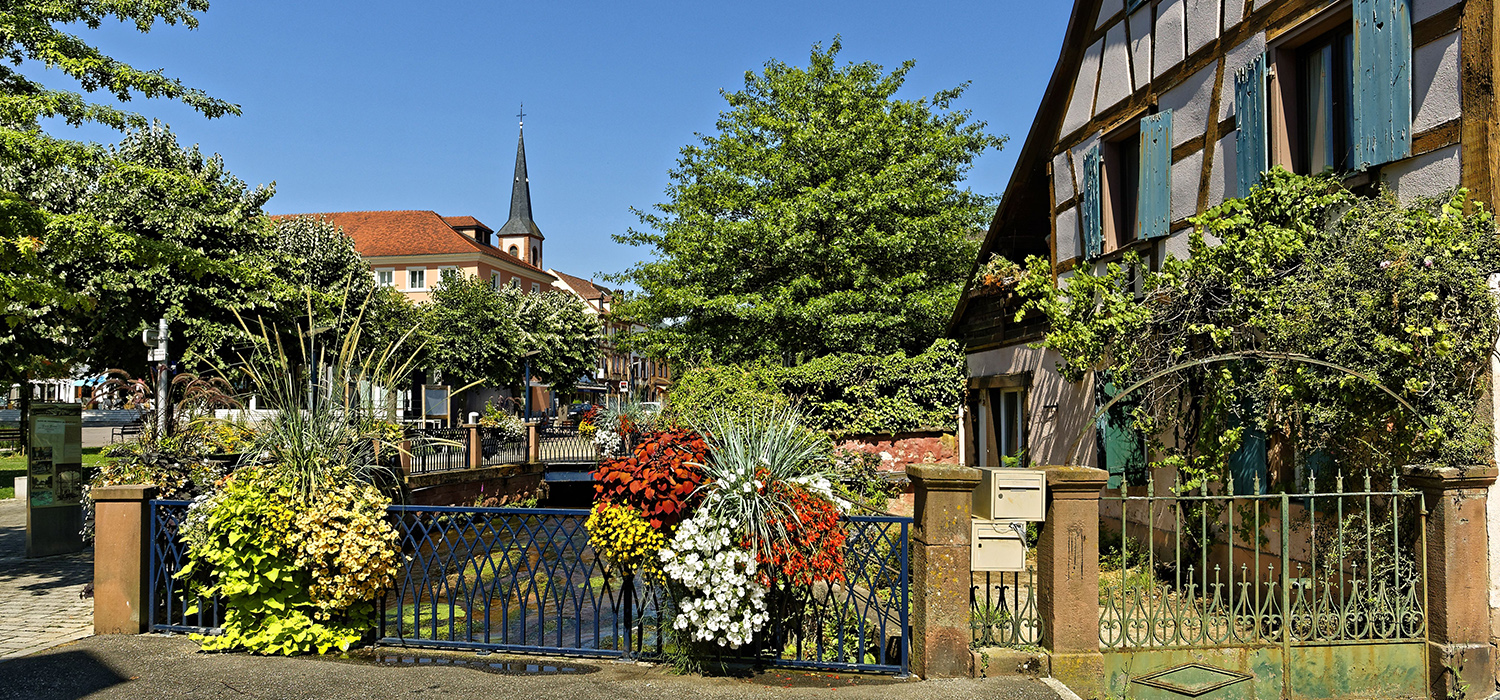 GR® 53, de Wissembourg à Niederbronn-les-Bains