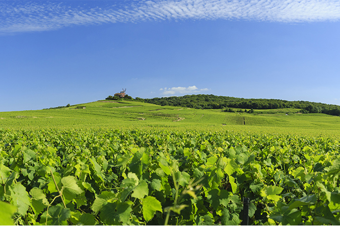 GR® de Pays de la Montagne de Reims