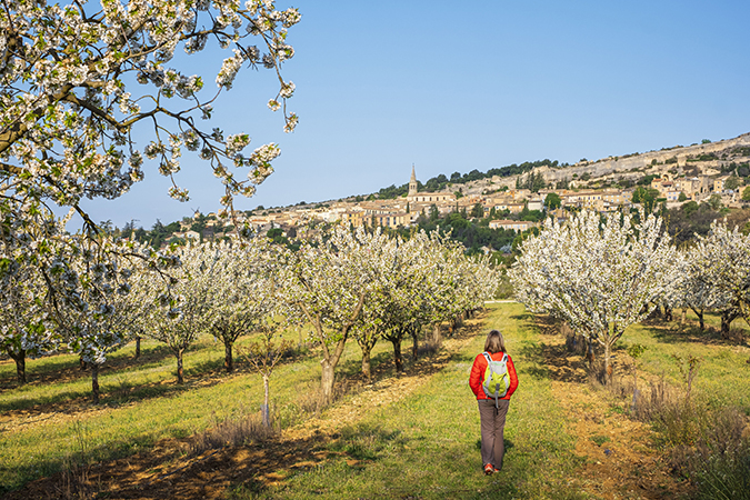 GR® de Pays Luberon - Monts de Vaucluse, boucle au départ d'Apt