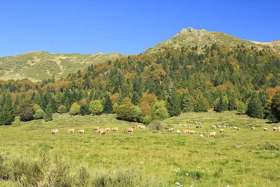 GR® 400, Boucle de la vallée de l'Alagnon