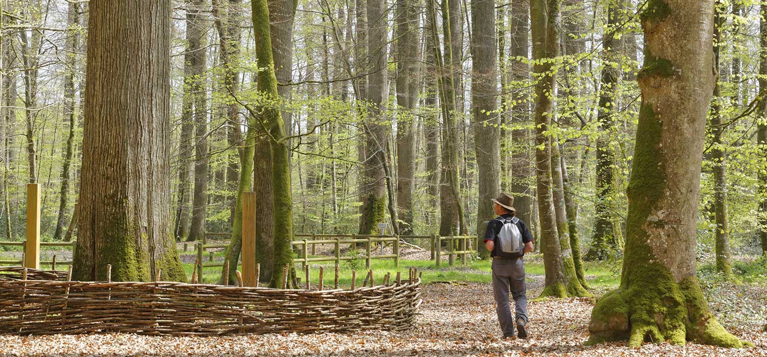 GR de Pays Vallée du Loir - Boucle au départ de Mayet