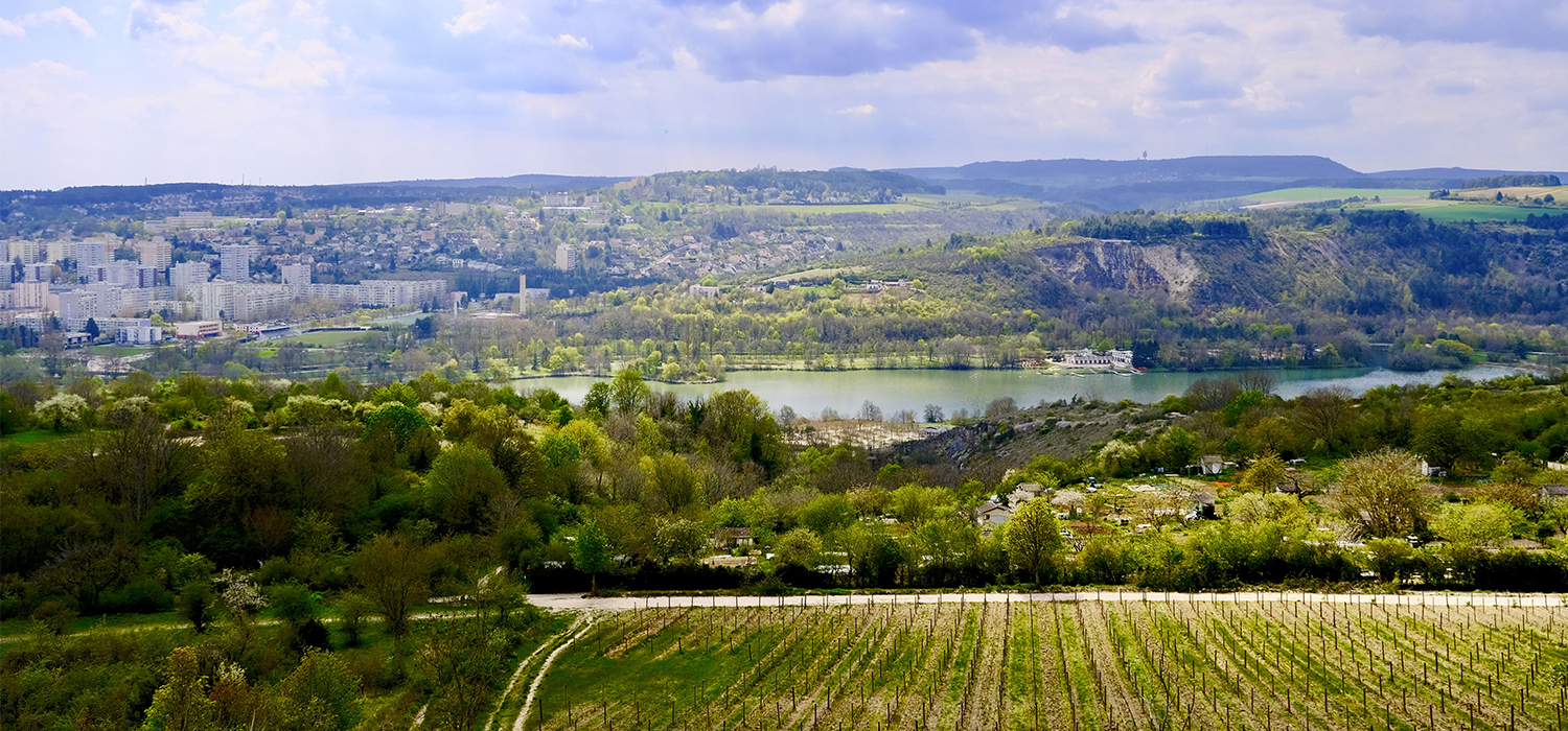 Des Charmes aux Lièvres