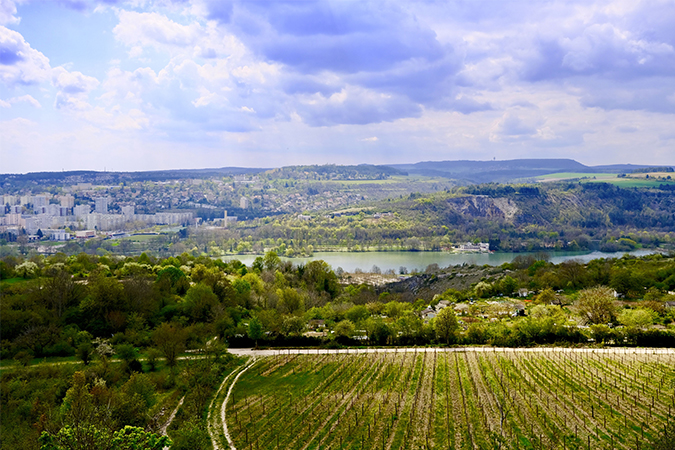 Des Charmes aux Lièvres