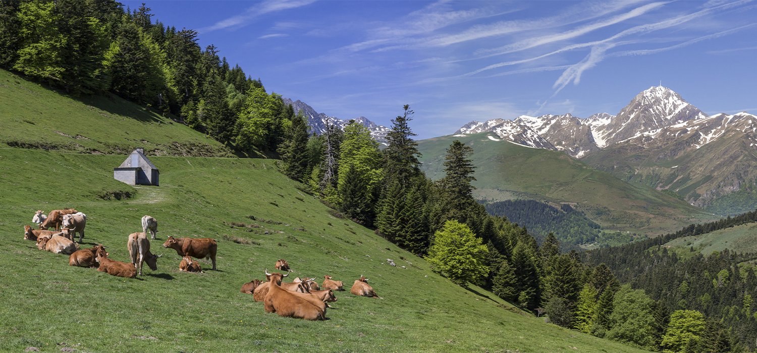 Le sentier de Bacarisse