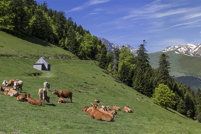 Le sentier de Bacarisse