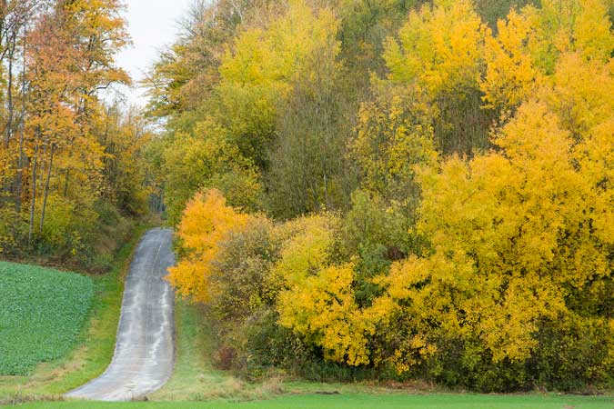 GR® 14, de Varennes-en-Argonne à Bar-le-Duc