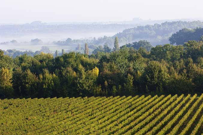 GR® 654 Ouest, de Bergerac à Sainte-Foy-la-Grande