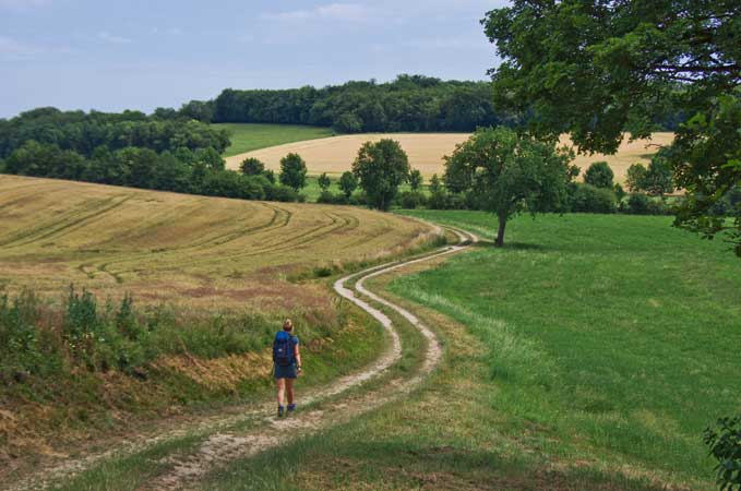 GR® 703, de Vaucouleurs à Gondrecourt-le-Château