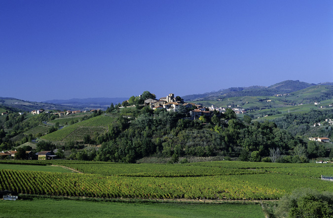 GR® de Pays Tour du Beaujolais des Pierres Dorées, boucle au départ du Bois-d'Oingt