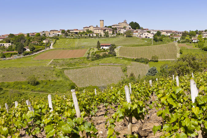 GR de Pays Tour du Beaujolais des Pierres Dorées - Boucle au départ de Lozanne