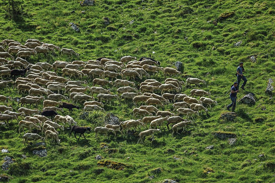 GR® de Pays Tour du Biros GR® de Pays Tour du Biros