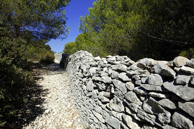 GR ® de Pays Tout du Massif du Ventoux – Gorges de la Nesque et Mur de la Peste