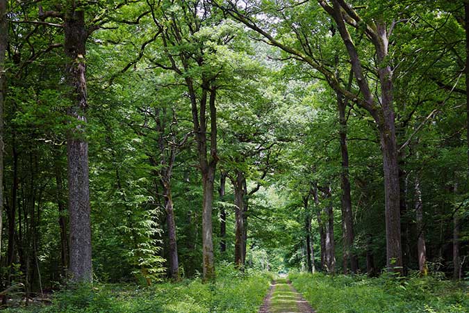 GR® de Pays des Yvelines, D’Épernon à Richebourg