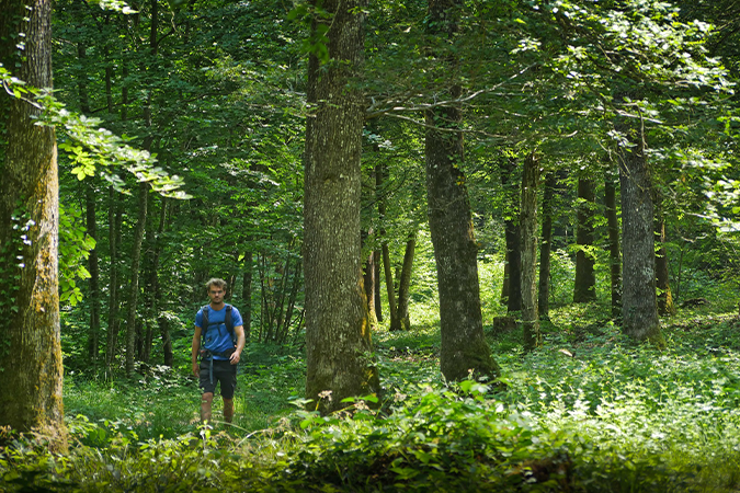 GR® de Pays Montagne de Reims - Carnets de Rando