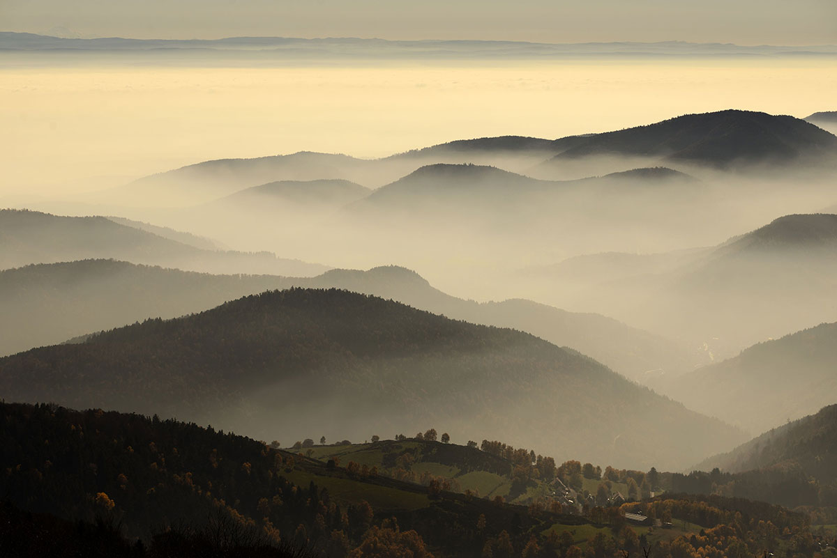 Grand Ballon d'Alsace. Crédit : Bringard Denis / hemis.fr