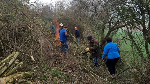 Débroussaillage sur le chemin de Cluny. Crédit : France3 Bourgogne