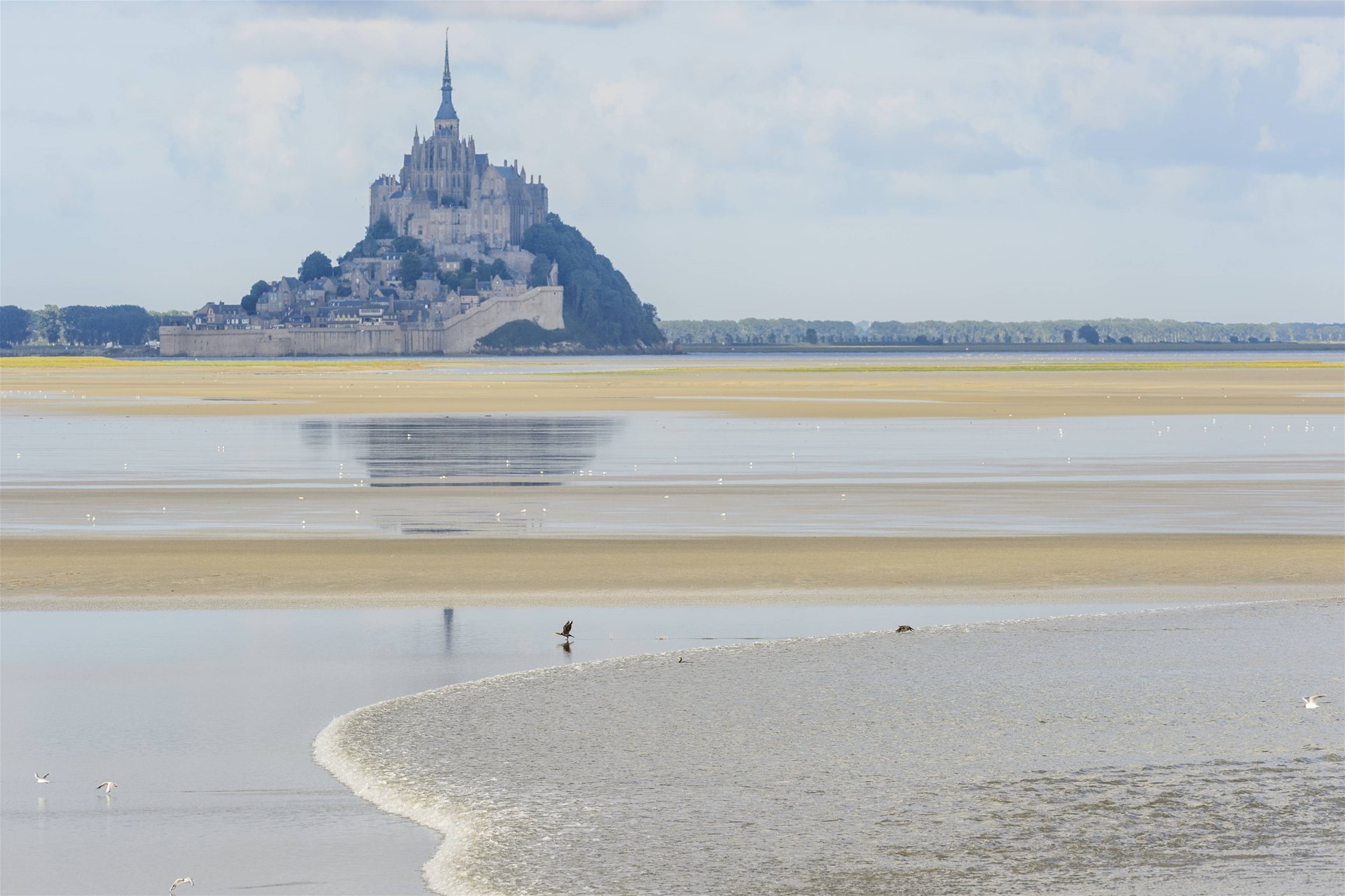 Vue sur la baie du Mont-Saint-Michel depuis la Pointe du Grouin Sud, à proximité du tronçon où travaillent les scouts. Crédit : Guiziou Franck / hemis.fr