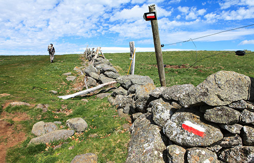 MonGR - GR65  : plaine d’Aubrac près de Nasbinals - Crédit : Fotolia