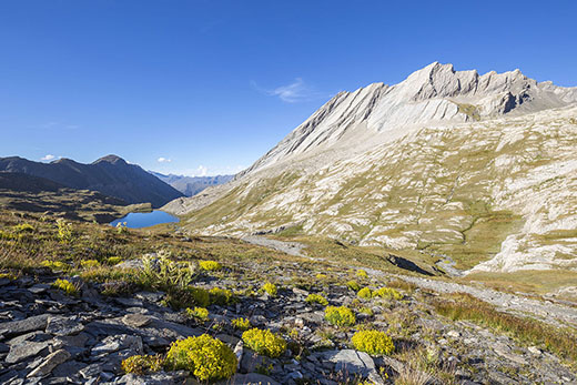 Hautes-Alpes, PNR du Queyras, lac Foréant (2618 m) dominé par la Crête de la Taillante (3196 m). Crédit : Cavalier Michel / hemis.fr
